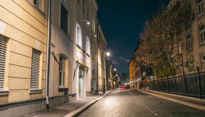  Опоры НО и Опора И2