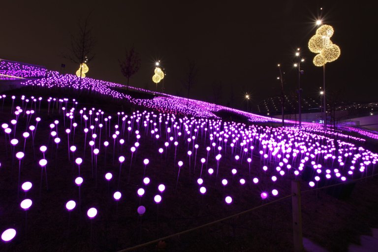  Парк Зарядье