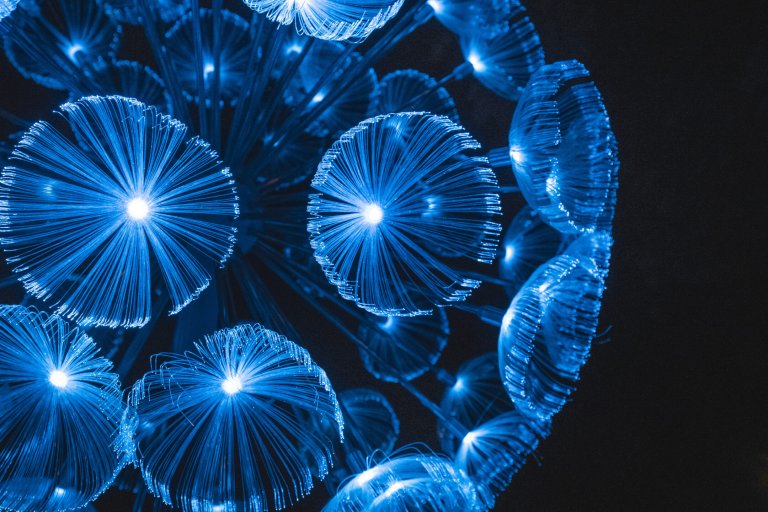  Парк Горького